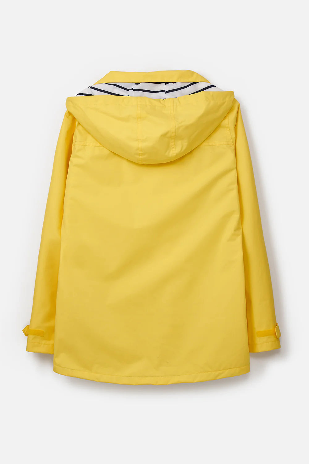 BEACHCOMBER DANDELION YELLOW 14