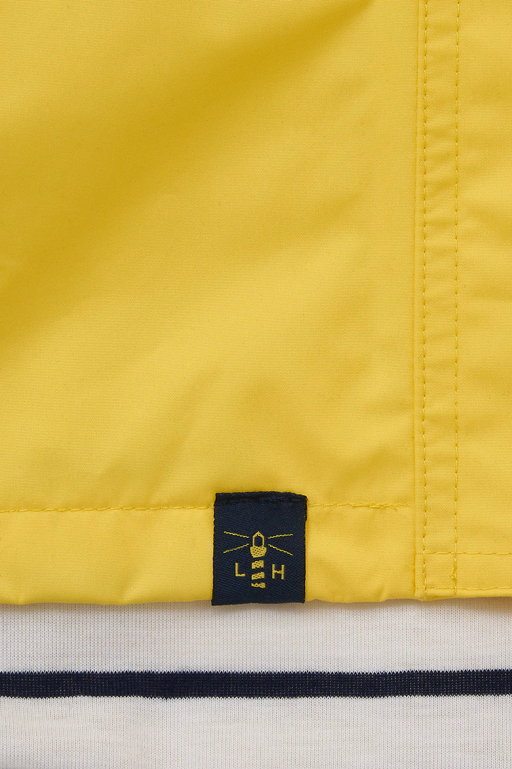 BEACHCOMBER DANDELION YELLOW 14