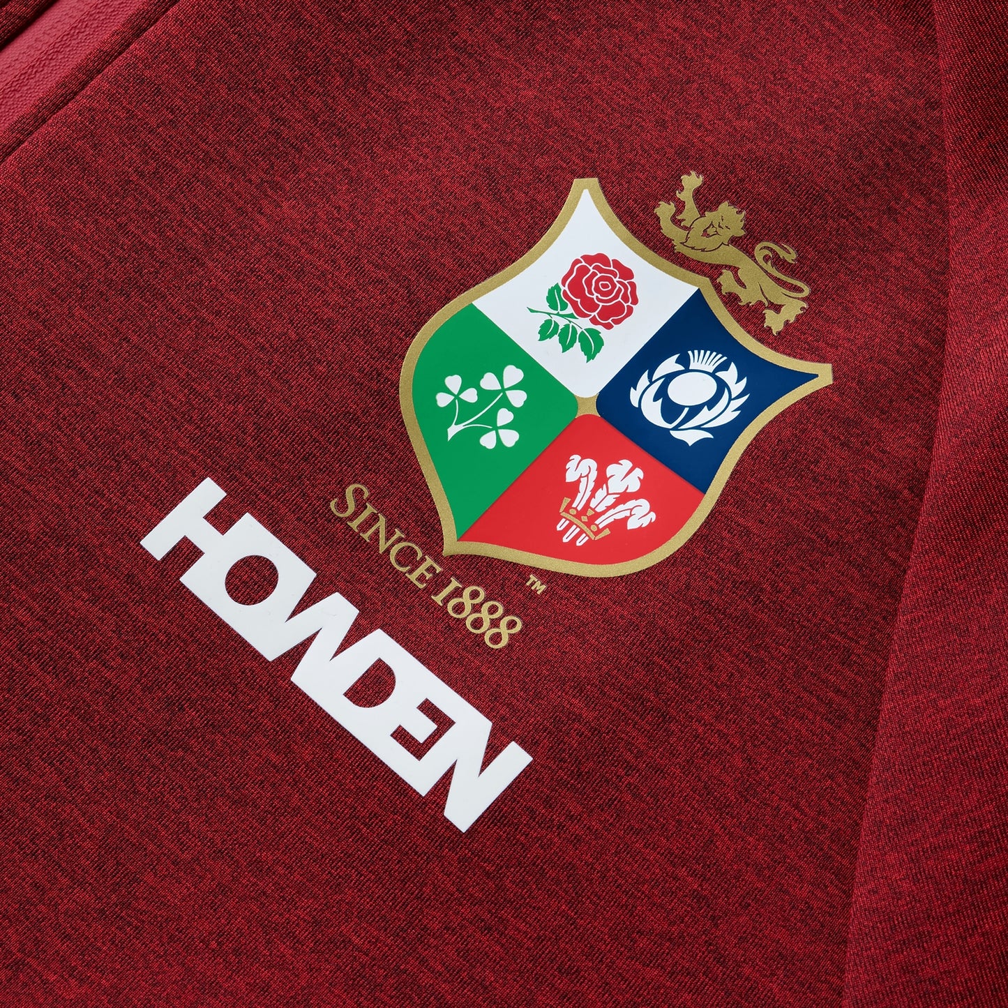 LIONS EVEREST HOODY AM