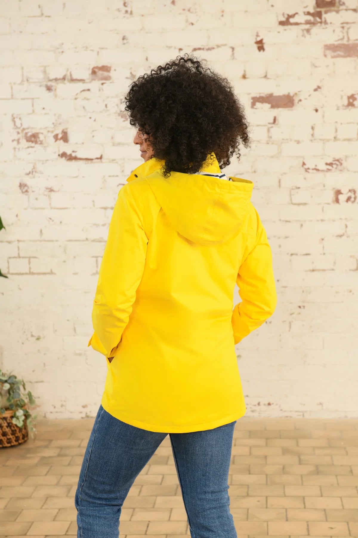 BEACHCOMBER DANDELION YELLOW 16
