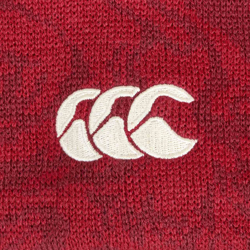 LIONS FLEECE BOBBLE HAT
