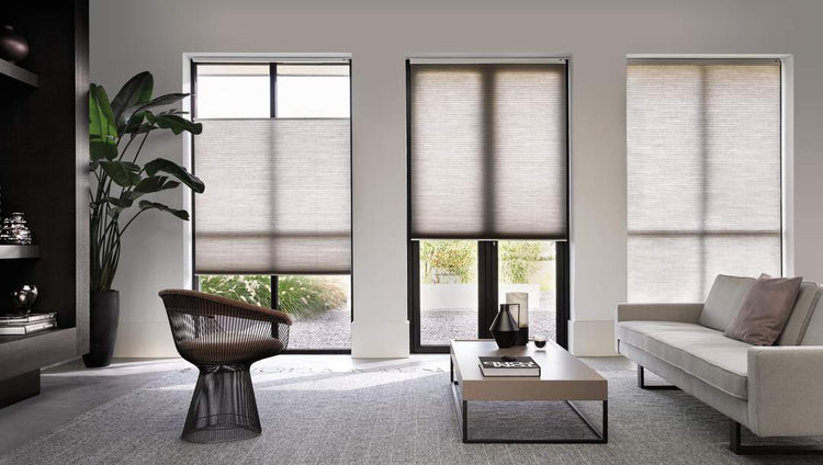 Duette Blinds