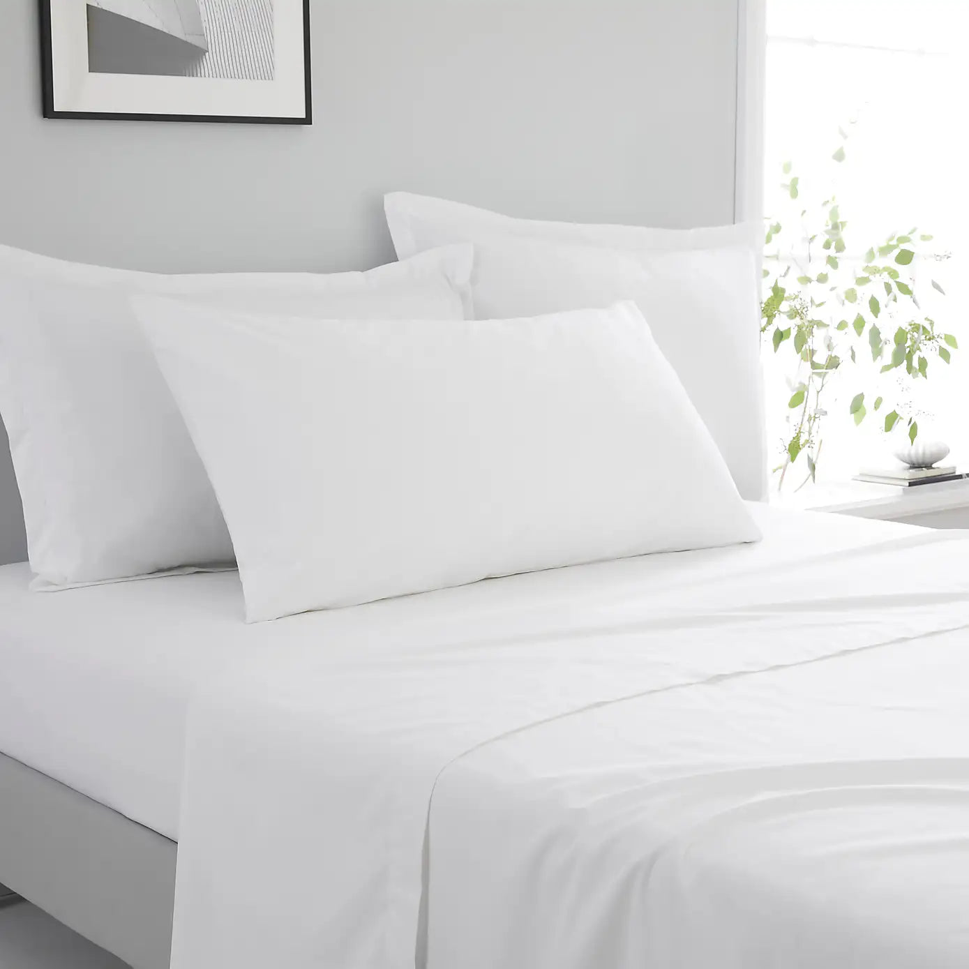 KING PILLOW CASE 100% COTTON