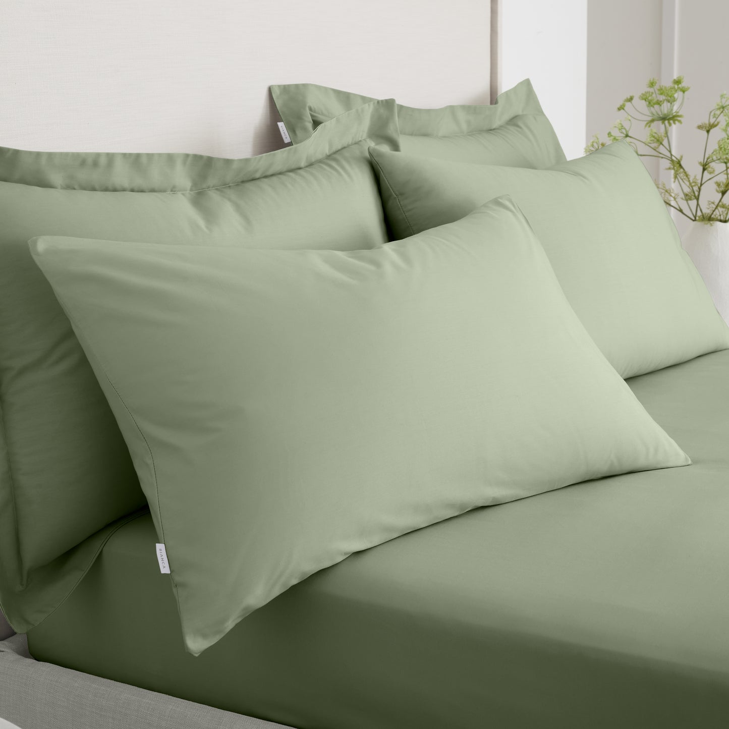 200TC COTTON PERCALE PILLOWCASE