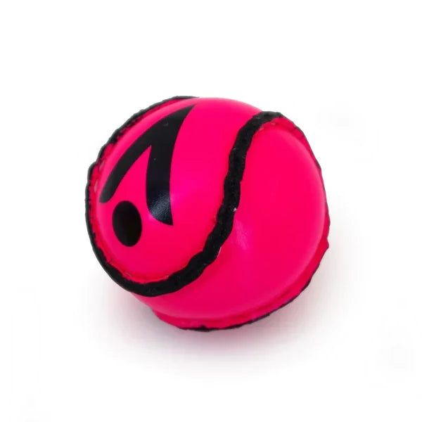 SLIOTAR